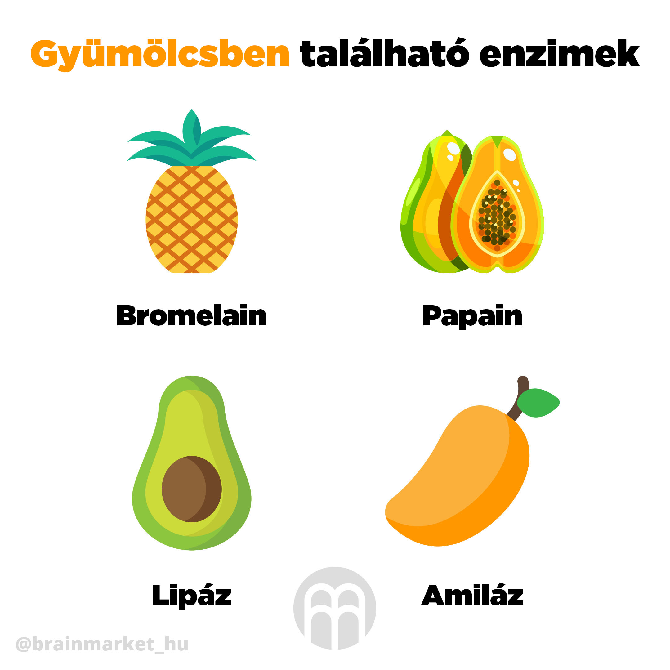 enzymy v ovoci infografika brainmarket HU